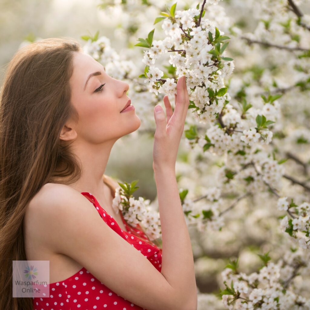 Wasgeurtjes in verschillende geuren verkrijgbaar