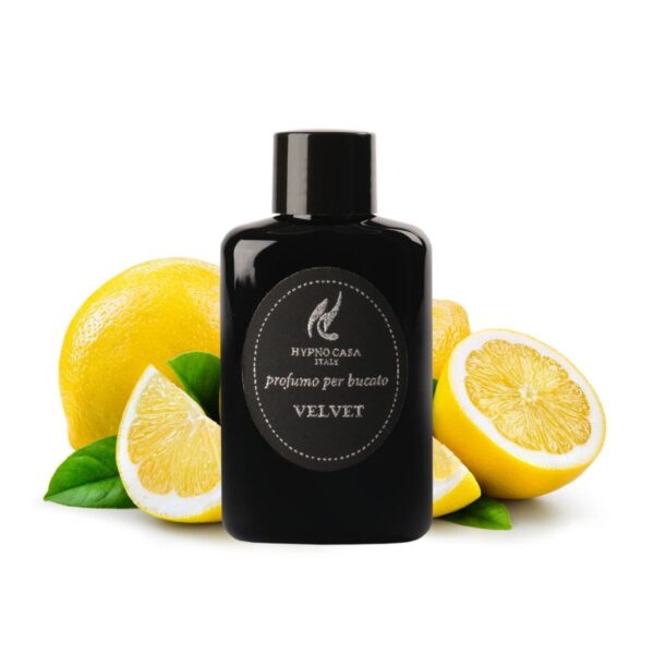 hypno casa wasparfum velvet